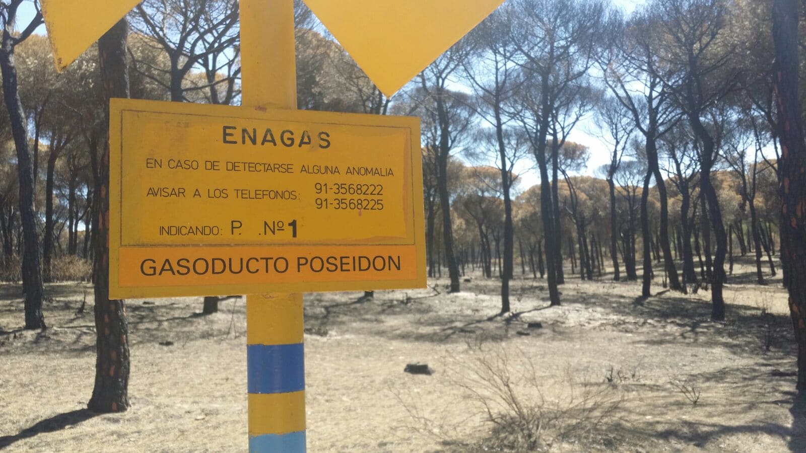 Infraestructura de Enagás en una zona quemada de Doñana. Foto: José Manuel Cantó.